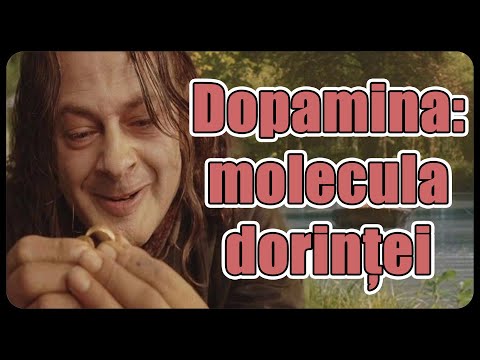 Video: Ce este dorința? Este pasiune, nevoie sau motiv?