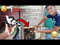 Inho Ne To Peigons Ke Ghar Me Qabza He Karlia.😂 ||Peigons ku Chalay gae.😥 ||Full Information||.