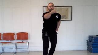Basics   Reverse Punch
