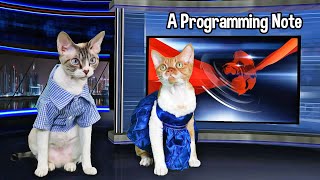 Cats Announce Change to Program Schedule by The Rockstar Cats 209 views 1 year ago 1 minute, 13 seconds