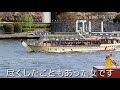 愛・ケセラセラ 島津 ゆたか