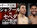 💯シャクール🆚セペダのパンチ数分析比較がヤバい💥絶対見たくなる矛盾対決🗡️🛡️