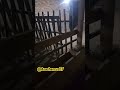 arashan elita qozi sovliq Masha alloh #elita7 #arashan #arashap #elita
