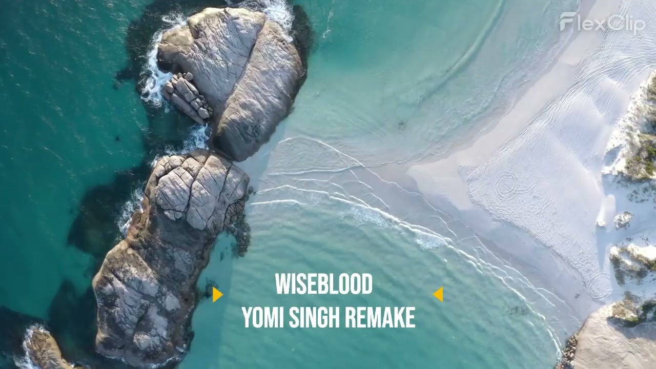 Wiseblood (Yomi Singh Remake) - Zola Plus