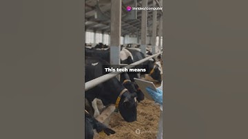 Real Time Detection of Digital Dermatitis #sciencefather #researchawards#computervision #CNN