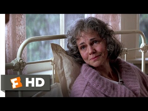 Life is a Box of Chocolates - Forrest Gump (7/9) Movie CLIP (1994) HD