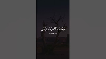 تلاوة خاشعة جميلة بصوت شريف مصطفى ارح سمعك ♡ #شريف_مصطفى #اكسبلور_فولو