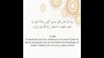 سورة البقرة من الآية 167 إلى الآية 168