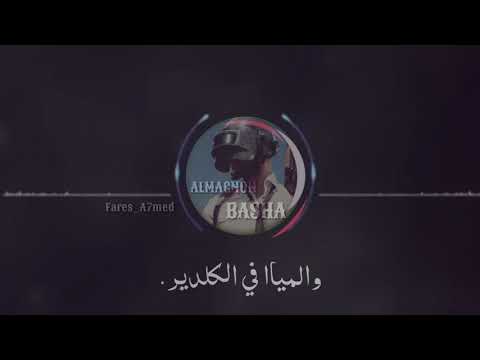 مهرجان شواحه الجديد قاعدين يلا وشربين حاله واتس جامده