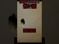 【2chの怖い話】異常者の隣人#Shorts #意味が分かると怖い話 #怖い話 #怪談朗読