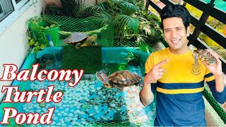 Balcony Turtle Pond | Turtle Pond | Red Eared Sliders | Turtle Pond Making Tips | Indian Aqua Boy03