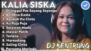 Viral!di tiktok Dj kentrung 2020 | NO IKLAN | berbeza kasta