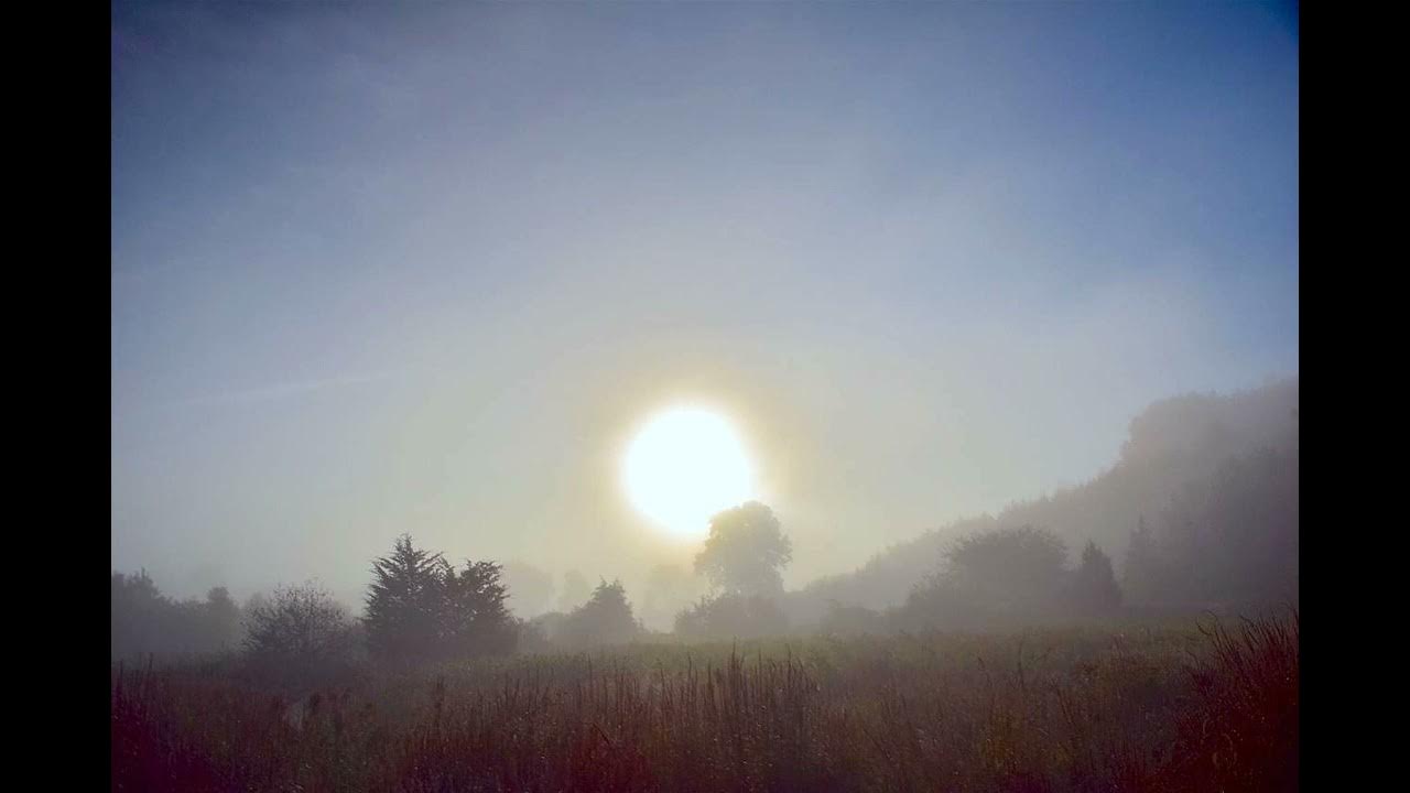 Hazy mood. Солнечный туман. Поле в тумане. Солнце в тумане. Закат над туманом.