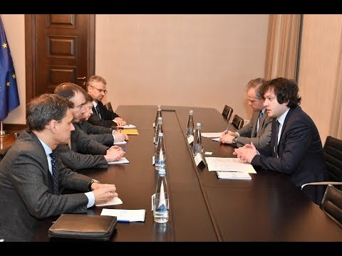 ირაკლი კობახიძე ევროკავშირის სპეციალურ წარმომადგენელს შეხვდა