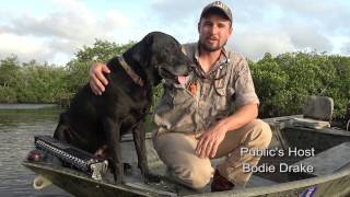 How A Duck Dog Should Ride In a Boat How A Duck Dog Should Ride In a Boat