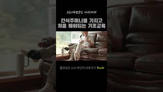 간식주머니를 가지고 보호자가 가장 먼저 해야되는 기초교육은? #우리개연구소 #강아지기초교육 #강아지키우기