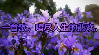 一首老歌 一段回忆 🎧 台湾经典国语歌曲合集 | 70、80、90年代最红金曲100首