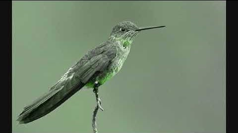 Testing Windows Movie Maker 6.0 On Windows 10 22H2