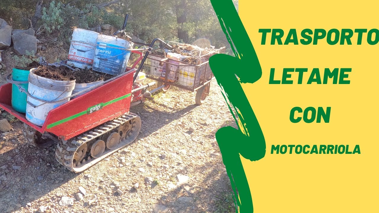 TRASPORTO LETAME CON MOTOCARRIOLA