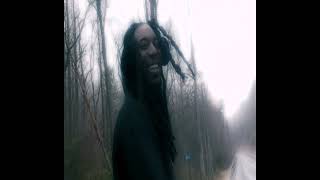 VIVID - Stray Far From x Fly Like Dove (Official Music videos)