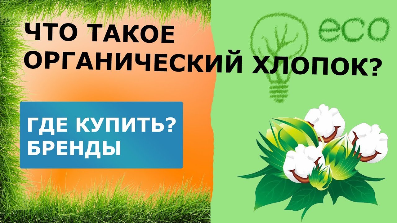 🌱 Что такое органический хлопок? Какие бренды делают из органического хлопка?