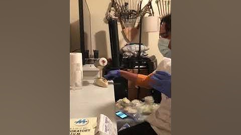 Basic Mushroom Cloning Concepts