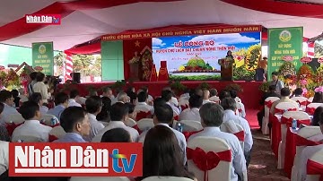 Bến Tre có huyện nông thôn mới đầu tiên