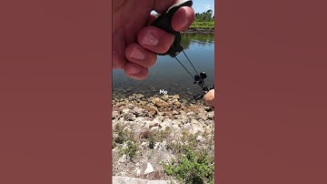 Use code YOUTUBE5 to save on your first order at ballista.co/youtube