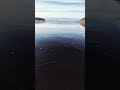 #природа жаль рыбы не было... как зеркало. гладь