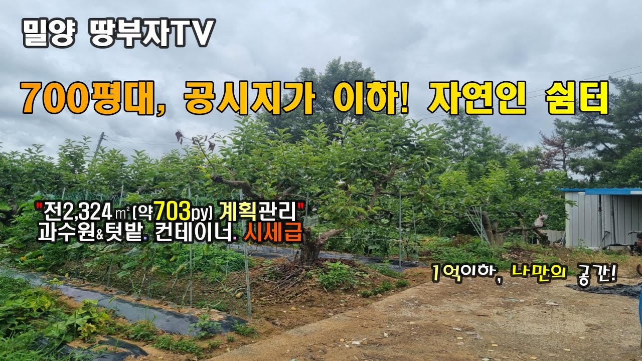 [나1-1923] 밀양 초동면- 700평대, 공시지가 이하! 마을 외곽, 자연인 토지#밀양부동산 #밀양토지 #밀양주말농장 #초동면 #밀양농막 #밀양매매 #밀양촌집 #밀양주택 #밀양