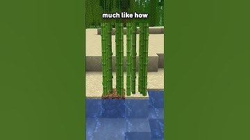 Everything you NEED to know about nether wart...