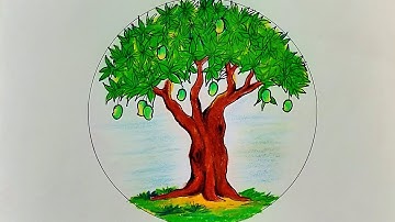 How to draw Mango tree for beginners / Mango tree drawing with oil pastels