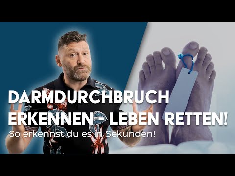 Video: Was kann passieren, wenn ein Hund einen perforierten Darm bekommt?