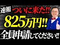 【速報】やらなきゃ大損！！個人事業・中小でも825万円貰える「究極の補助金」は必ず申請してください！！