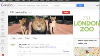 Google Plus for Business   5 reasons why every business will want to join NOW