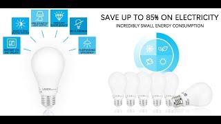 A19 Dimmable LED Bulb 9W 60W Equivalent E26 3000K Warm White 800 Lumens 6/Pack - LIVINGbasics™