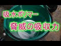 吸水ポリマーの吸収力をご覧ください(Super absorbent polymer)