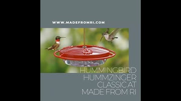 Hummingbird HummZinger Classic bird feeder from Made From RI
