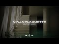 Simba La Rue - NINJA PLAQUETTE feat. Boy Mass (Official Lyric Video)