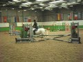 RECORD TIME JUMP OFF! Taz showjumping greenlands equestrian