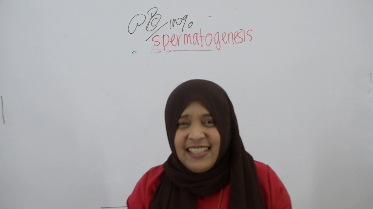 PTTI BIO SPM : Spermatogenesis