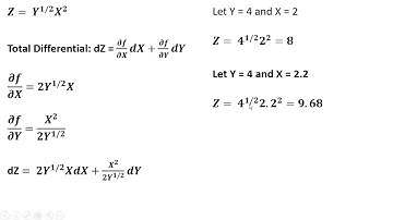Mathematics for Business and Economics: Total Differential