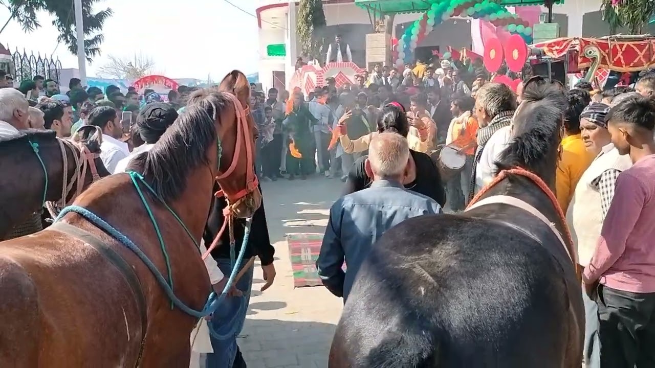 गुर्जरों के ठाठ शादी मे नाचने वाली घोड़ी