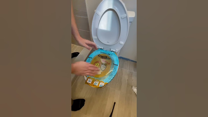 Next Level Toilet Plunger! 🪠