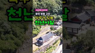 국내여행, 왕의병을 고친 신비한 약수가 있는 천년사찰 ’도덕암’ #한국 #사찰여행
