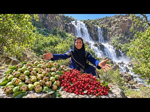 Zagros Treasure | Wild Walnuts and Hawthorn Berries by the Waterfall 🏔️🌰🍒💧