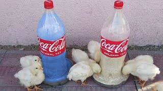 Extraordinary Idea | Making Chick Feeder and Drinker from Plastic Bottles
