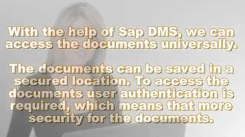 SAP DMS Consultant audio video Tutorial course