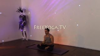 60 Minute Hatha Yoga class for Cultivating Creativity, by Stephen of FreeYoga.TV screenshot 4