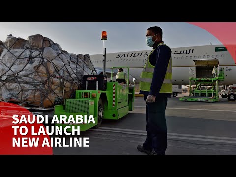 Saudi Arabia to launch new airline in tourism drive